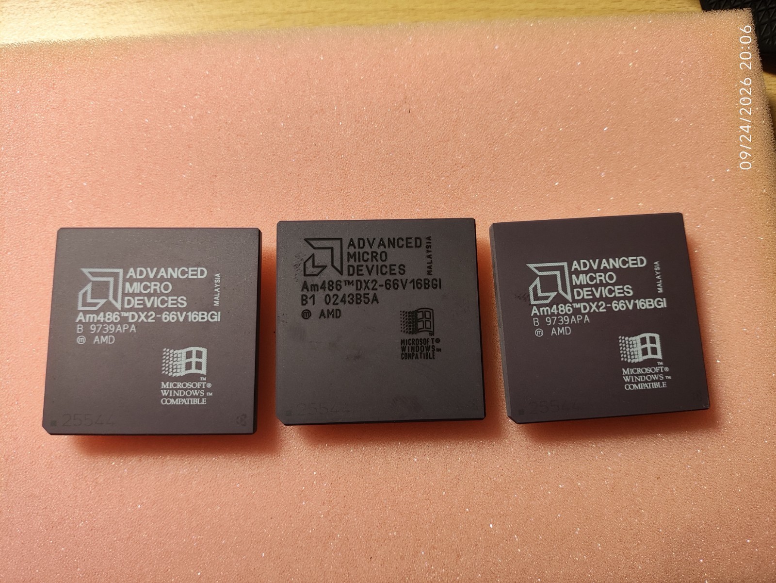 CPU AMD am486 DX2-66V16BGI, vintage, rare, gold, collection