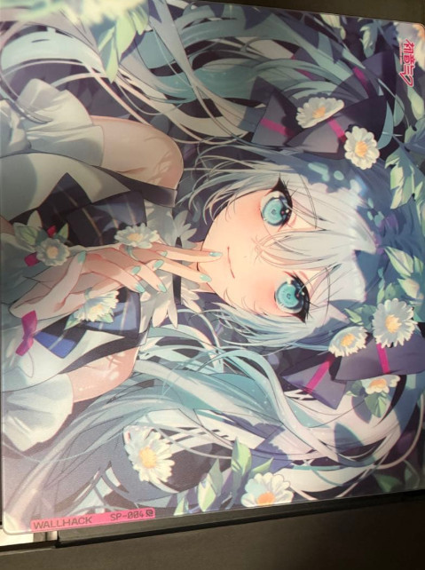WALLHACK SP-004 Hatsune Miku Glass Gaming Mouse Pad Limited Edition with Case