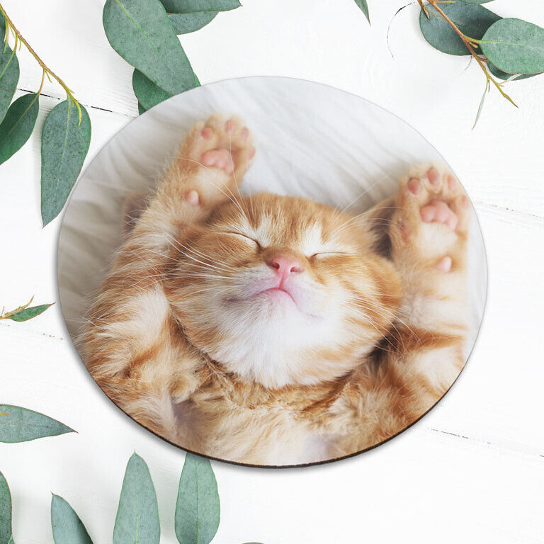 Cute Sleepy Cat Kitten Animal Mouse Pad Mat Office Desk Table Accessory Gift