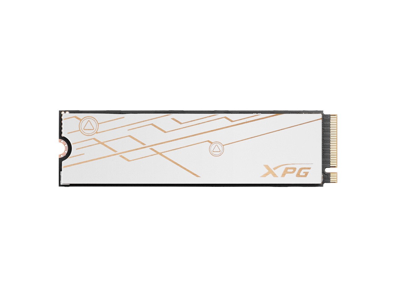 XPG BLADE M.2 2280 1TB PCI-Express 5.0 x4 3D NAND Internal Solid State Drive