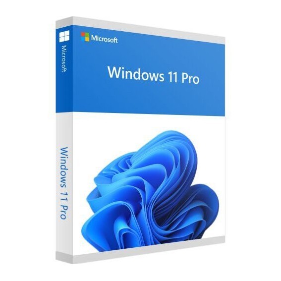 Microsoft Windows 11 Pro OEM