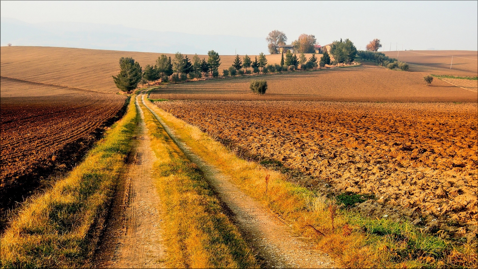 Landscape field road dirt trees tuscany italy Custom Gaming Mat Desk
