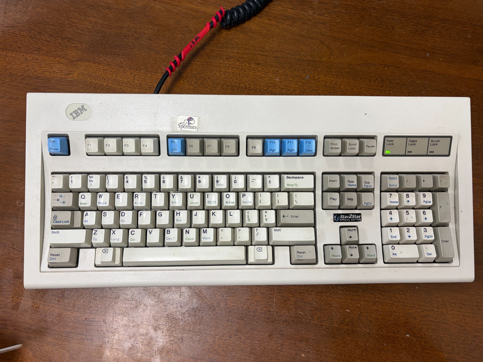 IBM Model M Terminal Vintage Clicky 122-Key 1984 W/ blue keys, and unique keys