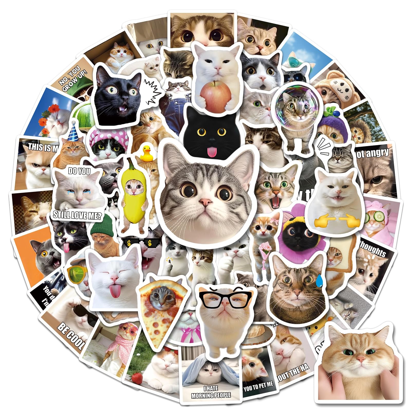 200 PCS Funny Cat Meme Stickers Pack