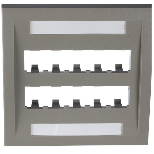 Panduit CFPE10IG-2GY Mini-com Faceplate Double Gang 10-Port International Gray