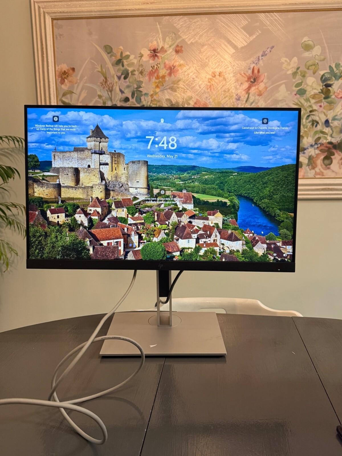 HP EliteDisplay E24 G4 23.8" FHD (1080p) LED Monitor