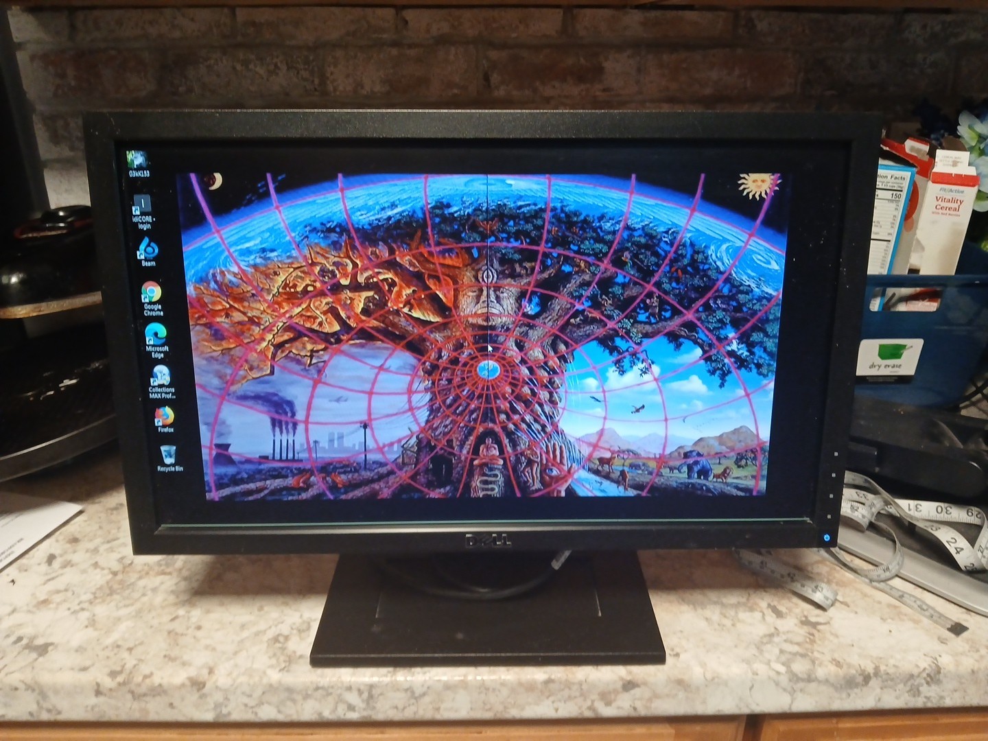 20" Dell E2010Ht Widescreen LCD Flat Panel Monitor No Power Cord