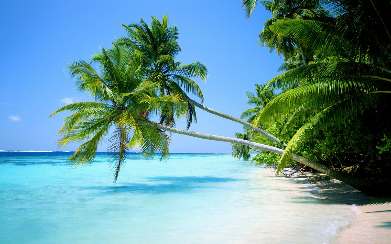Landscape nature water sea tropical palm trees Custom Gaming Mat Desk