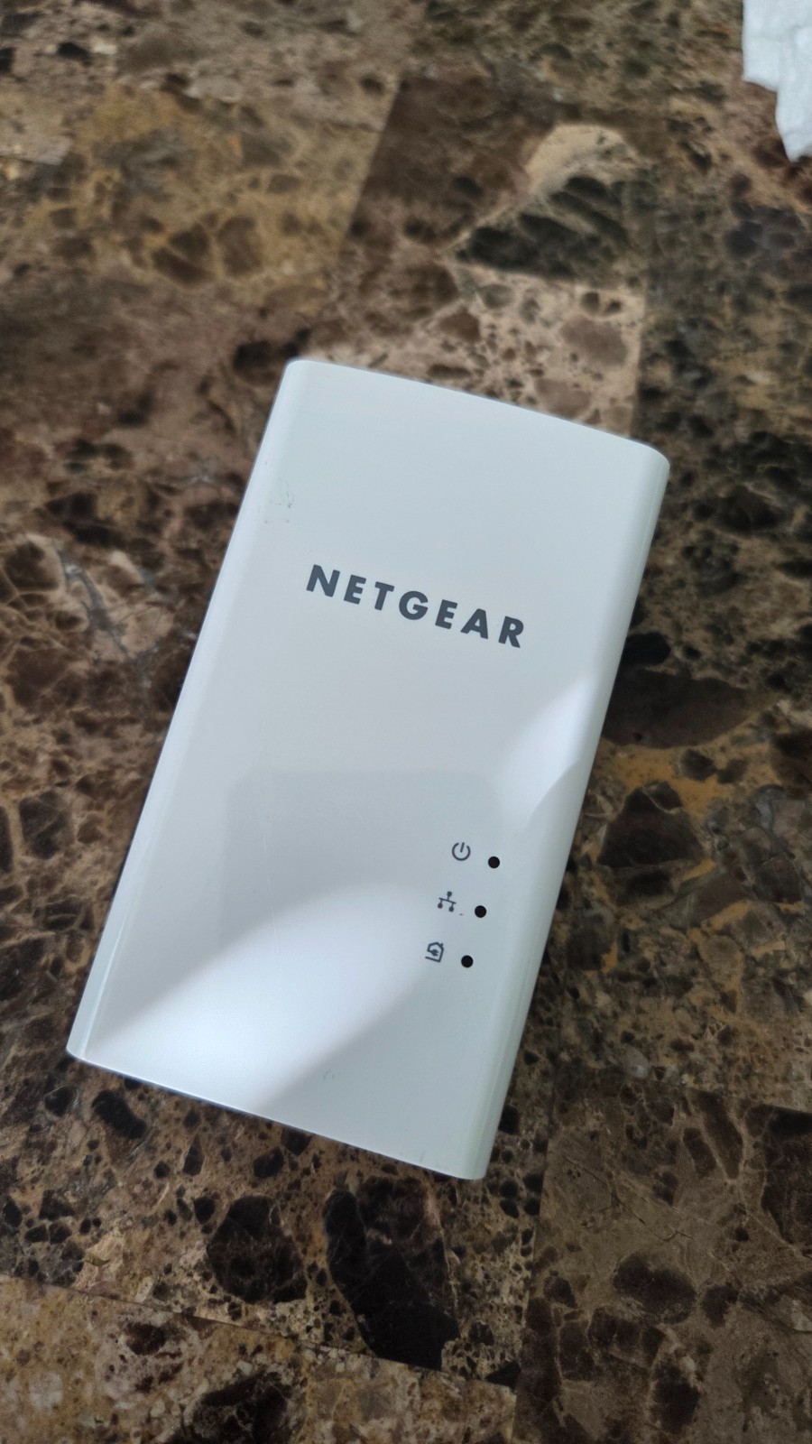 NETGEAR  PL1000100PAS 1000 Mbps Gigabit Port