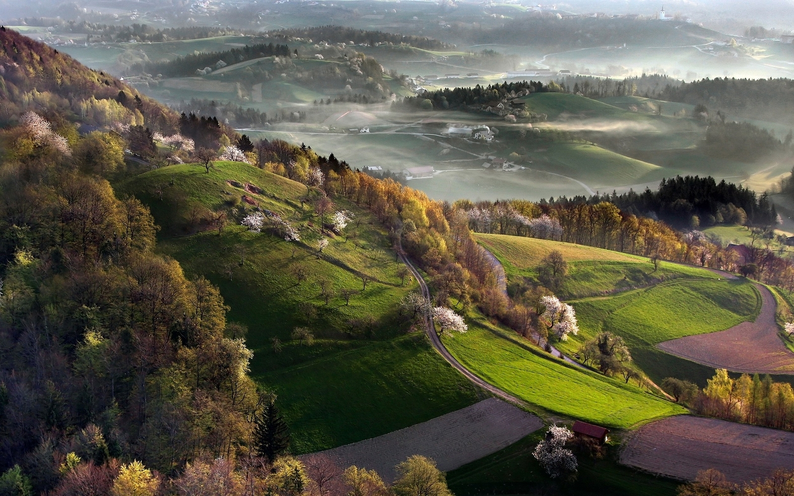 Landscape nature mist spring slovenia field cherry trees Custom Gaming Mat Desk