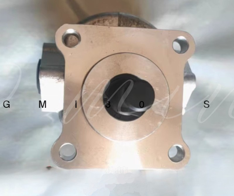1x FIT FOR Gear Pumps Series 2A WT-VS2AF6R4B Oil Pumps Low Noise Hydraulic Pumps