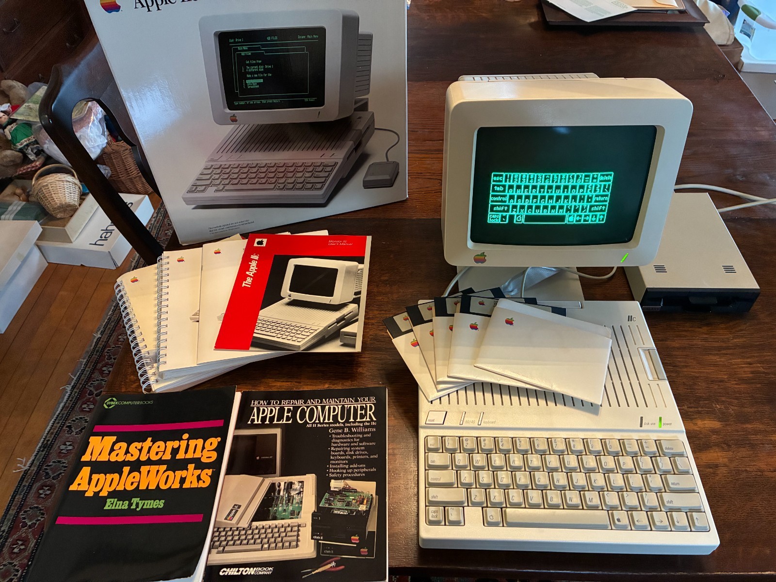 Vintage Working Apple IIc and Monitor.  With Packaging. A collector's dream
