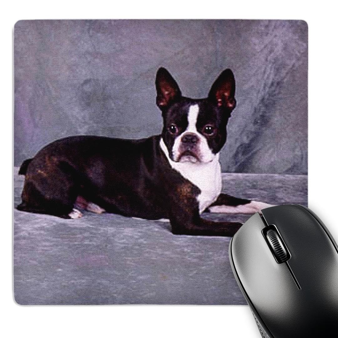 3dRose LLC 8 x 8 x 0.25 Inches Mouse Pad, Boston Terrier (mp_268_1)