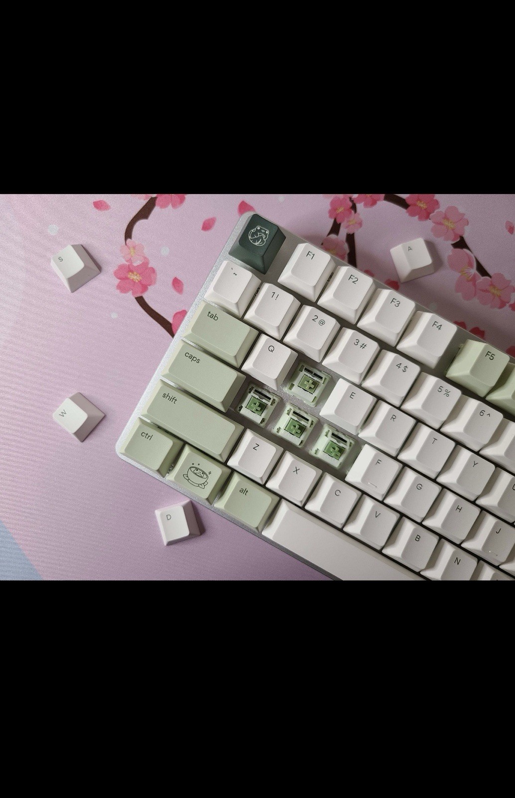 I Will Build You A Custom Keyboard
