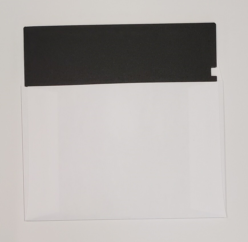 10 pack DS/HD 5.25 floppy disks.  NEW 1.2MB floppy diskettes  formatted in 2025