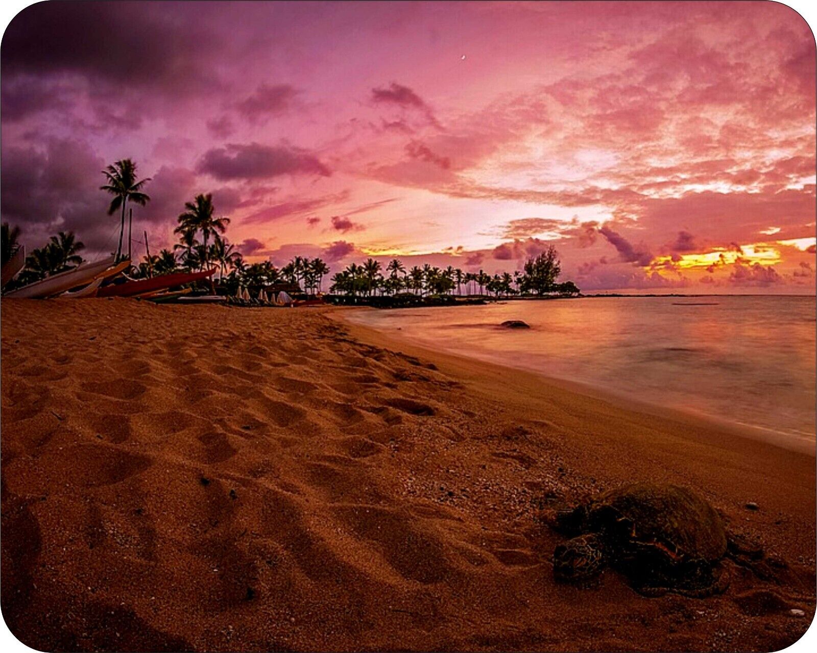 Hawaii Sunset Beaches PAlm Trees Photo Art Designs Novelty Mouse Pad