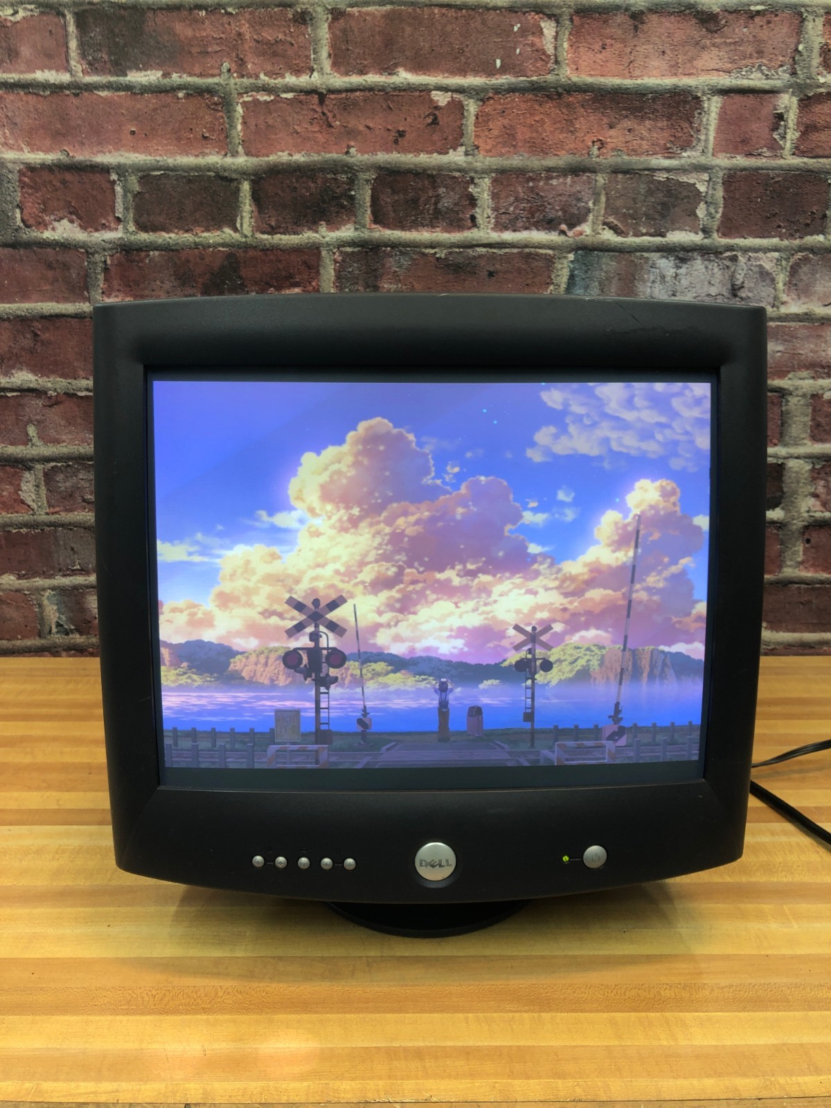 Dell M991 19" CRT Monitor Vintage Retro Gaming 1600x1200 Good Tested