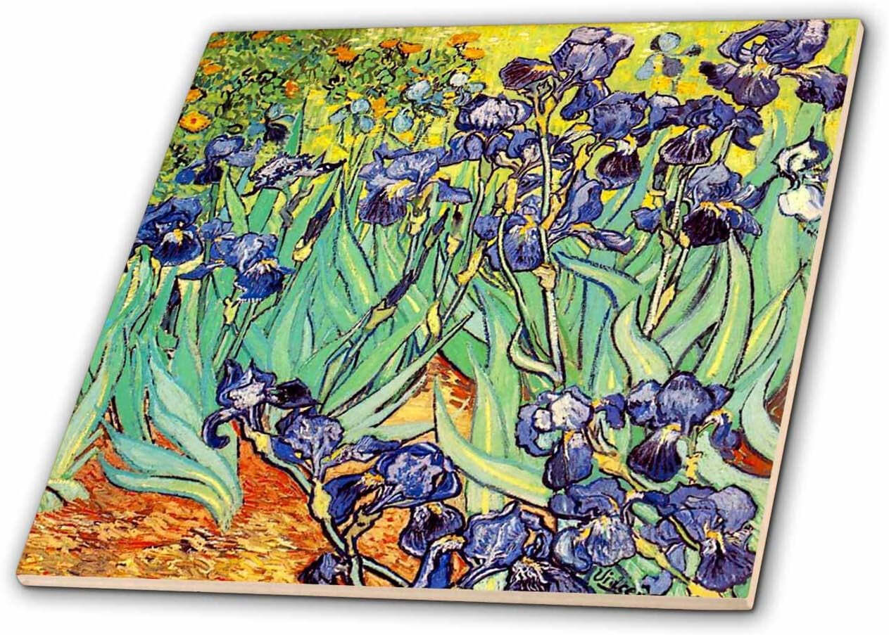 Ct_155630_3 Irises by Vincent Van Gogh 1889 Purple Flowers Iris Garden Copy of F