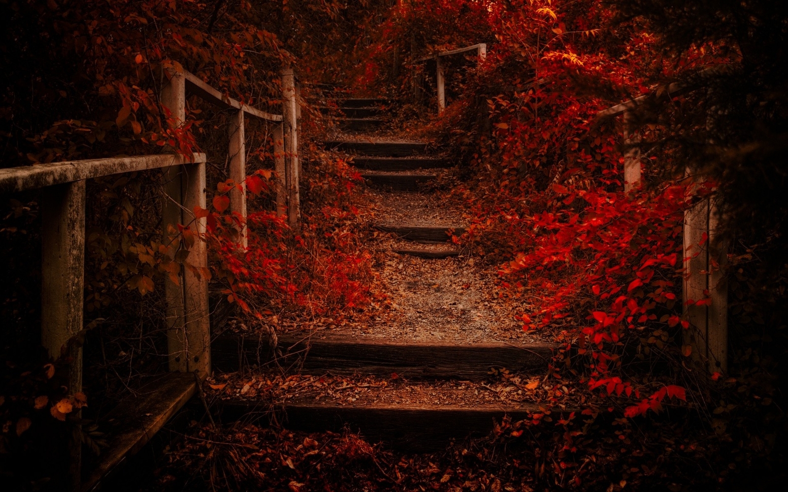 Landscape nature fall path leaves shrubs red fence Custom Gaming Mat Desk