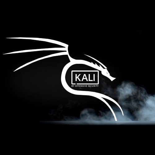 Kali Linux 2024.1 DVD (AMD64) on USB