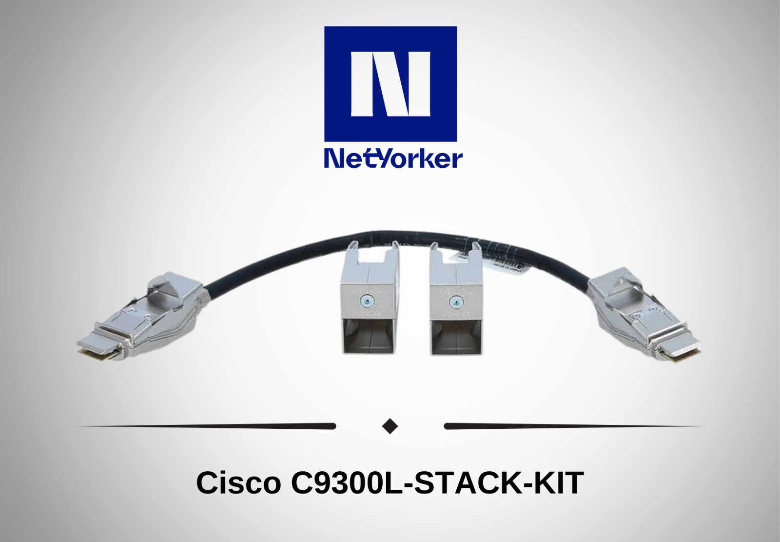 Cisco  Catalyst C9300L C9300L-STACK-KIT -Same Day Shipping