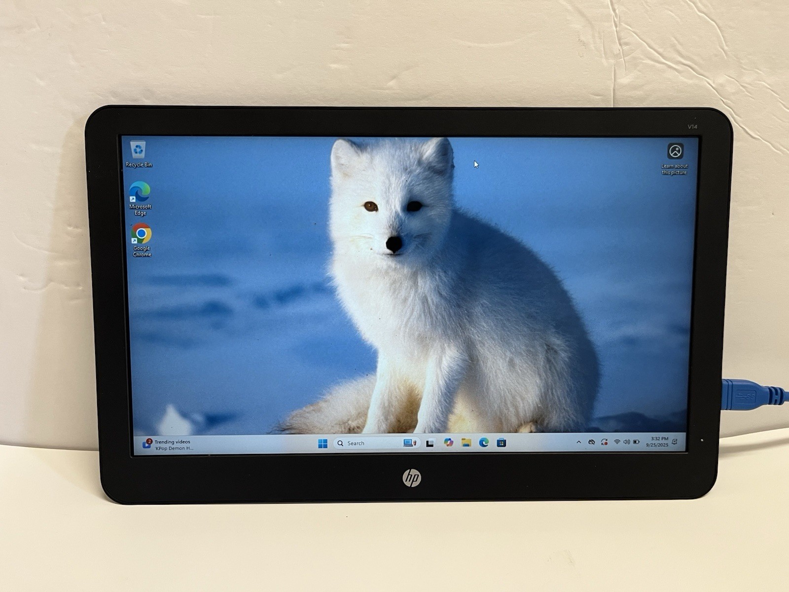 HP EliteDisplay V14 LED Backlit Display 14”