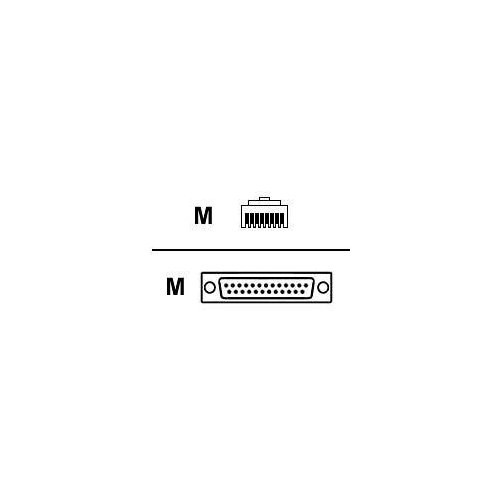 Digi Crossover DCE Cable - RJ-45 Male - DB-25 Male - 4ft (76000238)