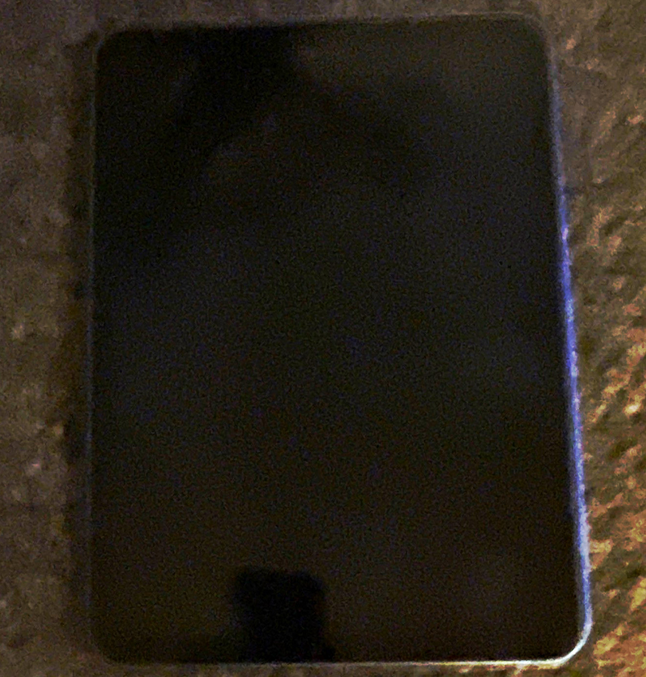 Apple iPad Blue Tablet w/ Colour Screen & Built-In Rear Camera