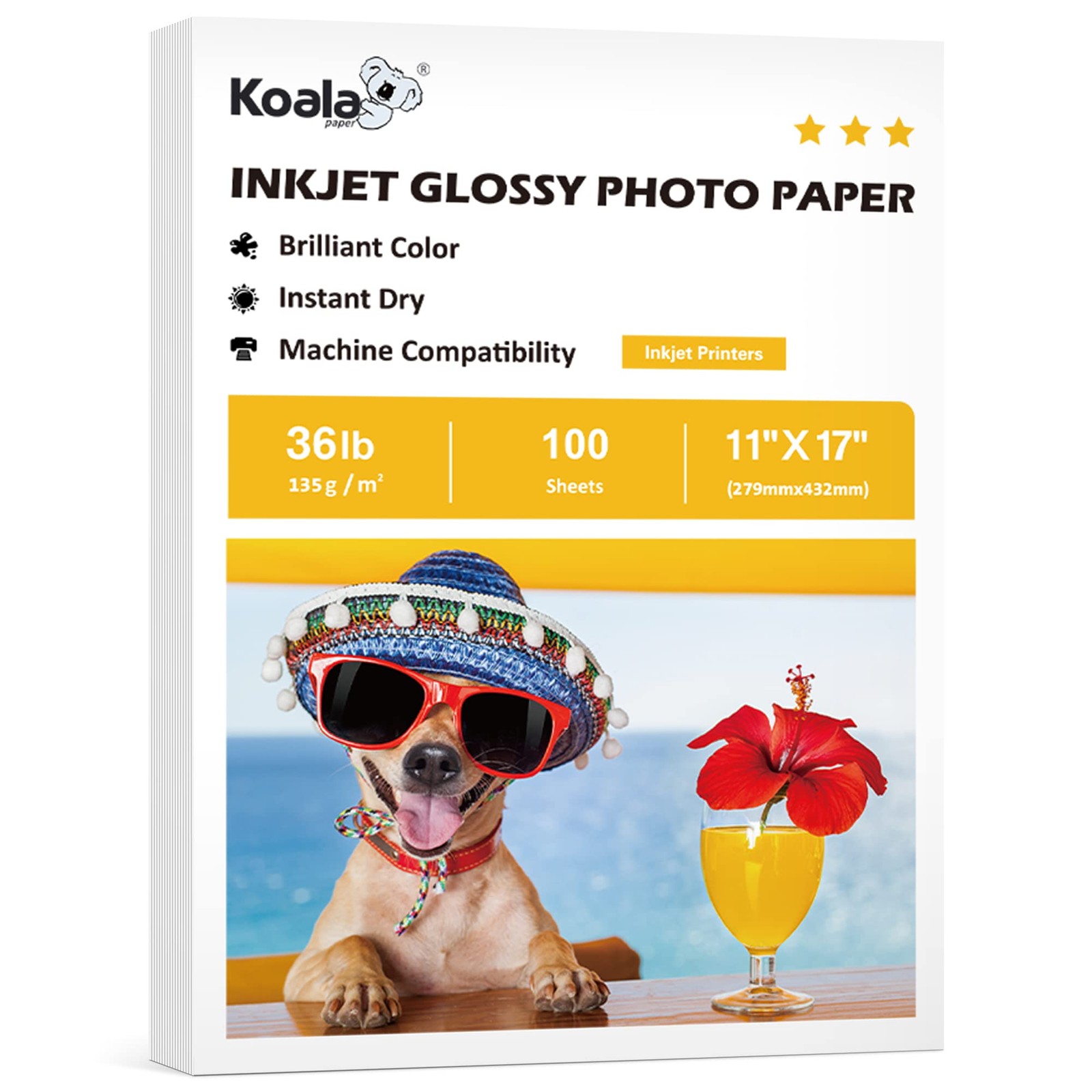 Koala Glossy Thin Inkjet Paper 11x17 Inch 100 PCS 36LB Dye Ink Brochure