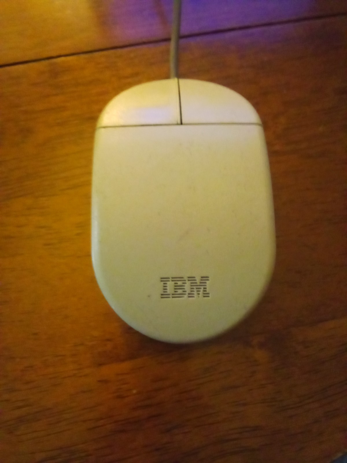 Vintage IBM 2 Button PS/2 Mouse Model 13H6690
