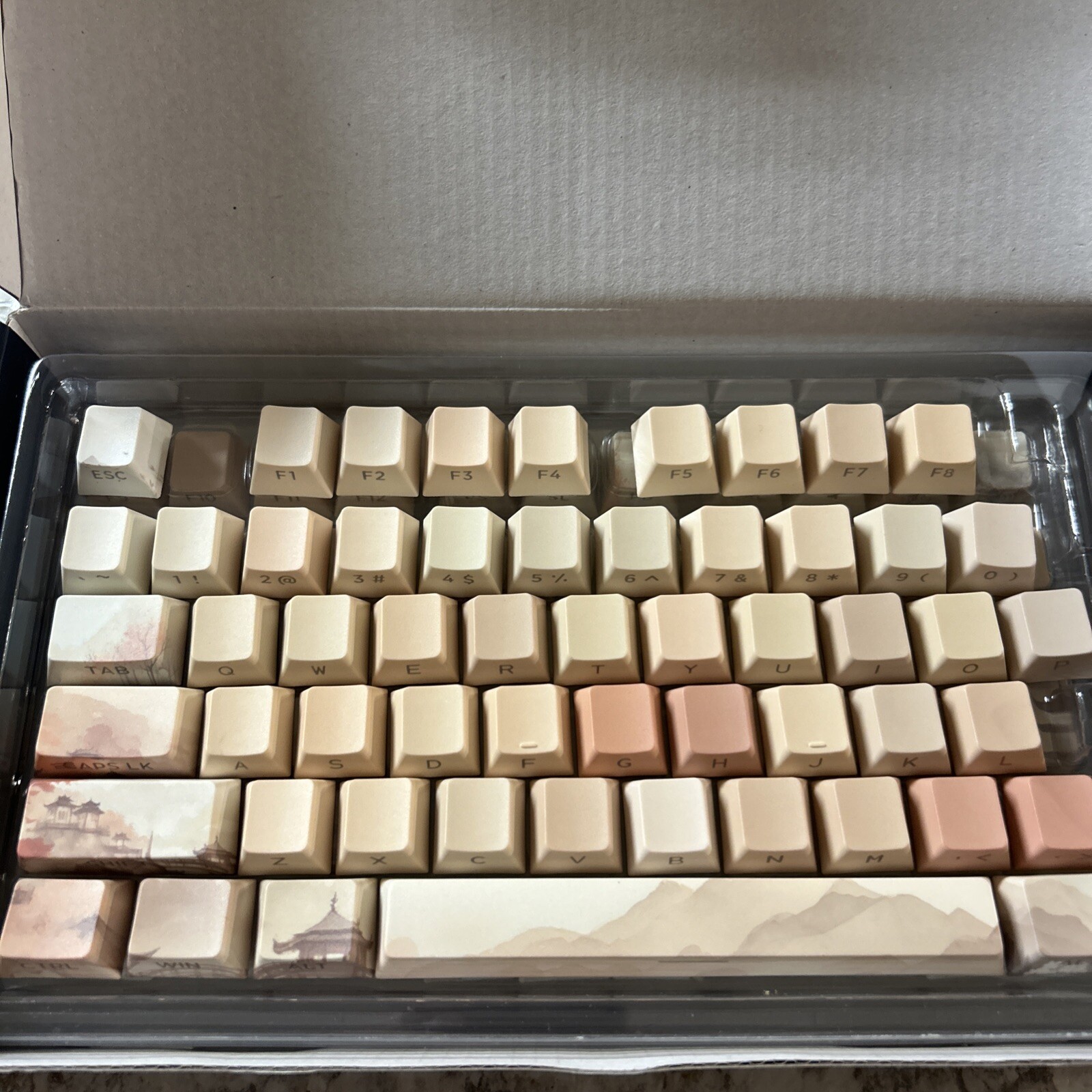 Womier PBT Keycaps, Custom Keyboard Caps 60 65 75 100 Percent, Shine Through ...