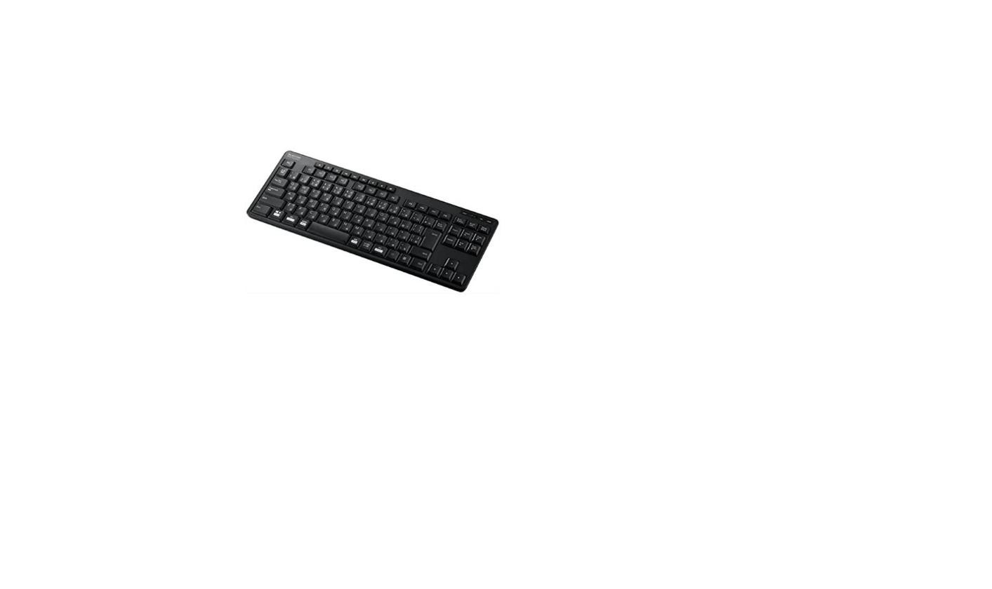 ELECOM Wireless Keyboard USB Receiver Silent Antibacterial TKL Black TK-FDM115