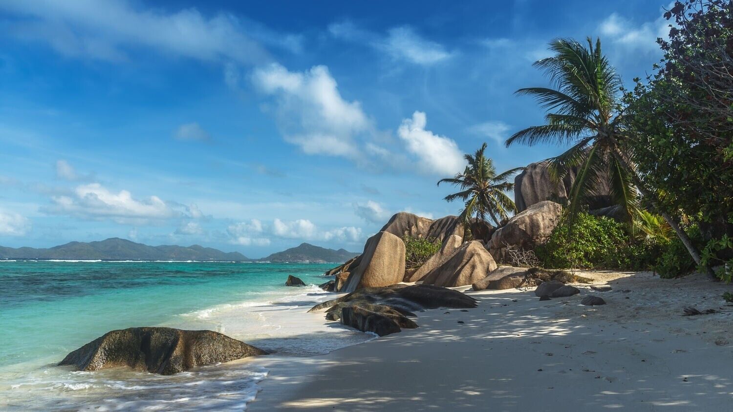 Landscape photography nature beach sand palm trees rocks Custom Gaming Mat Desk