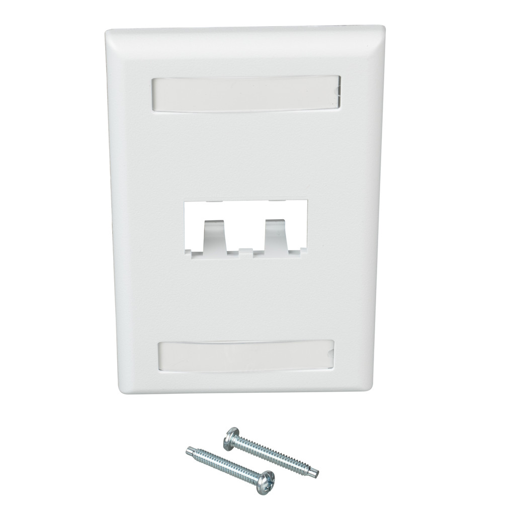 PACK OF 10 Panduit CFPL2WHY 2-Port Mini-Com Faceplate, Labeled Series, White