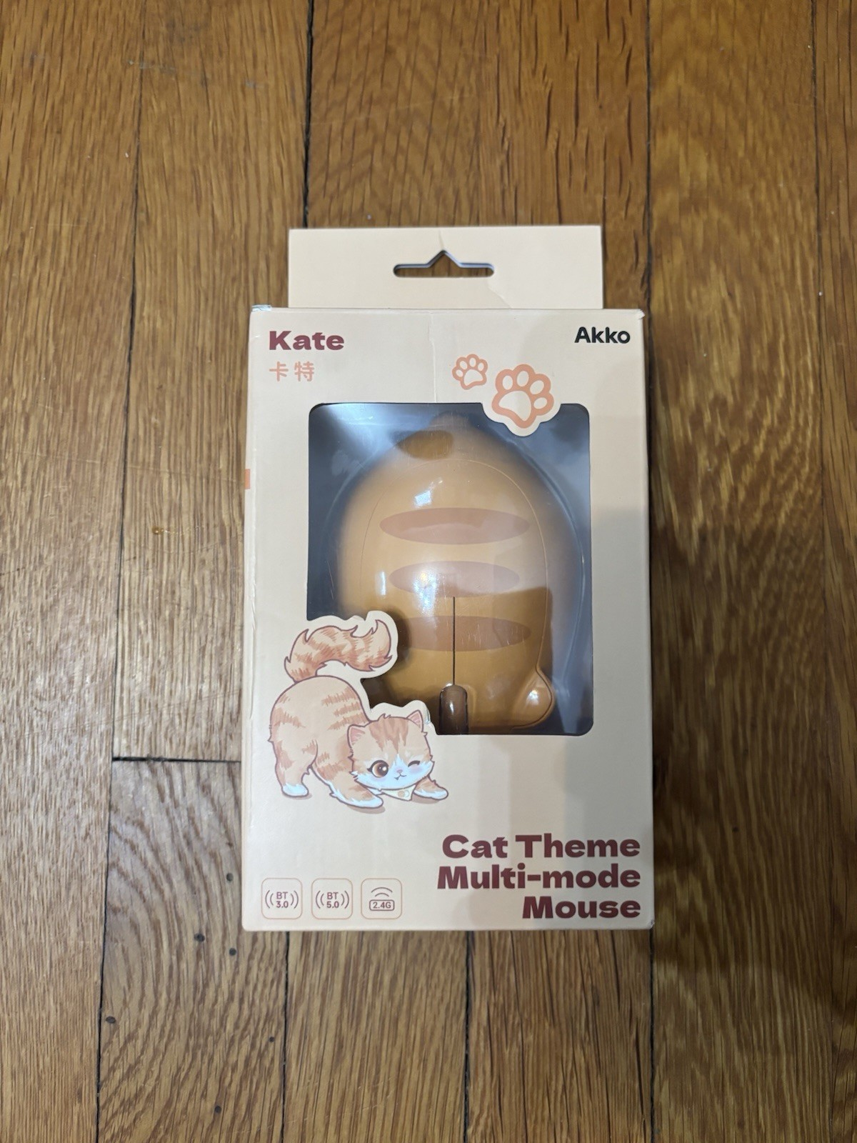 Kate Akko Cat Theme Wireless Multi-Mode Mouse - BT & 2.4G Orange