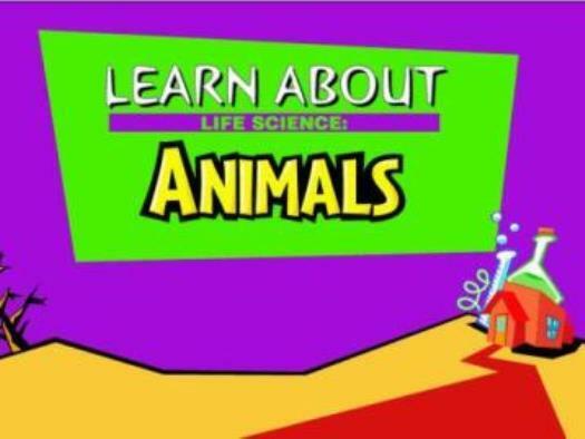 Learn About Life Science: Animals PC MAC CD kid study classification adaptation