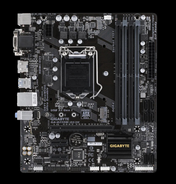 GIGABYTE GA-B250M-DS3H LGA 1151 Intel B250 HDMI Micro ATX Intel Motherboard