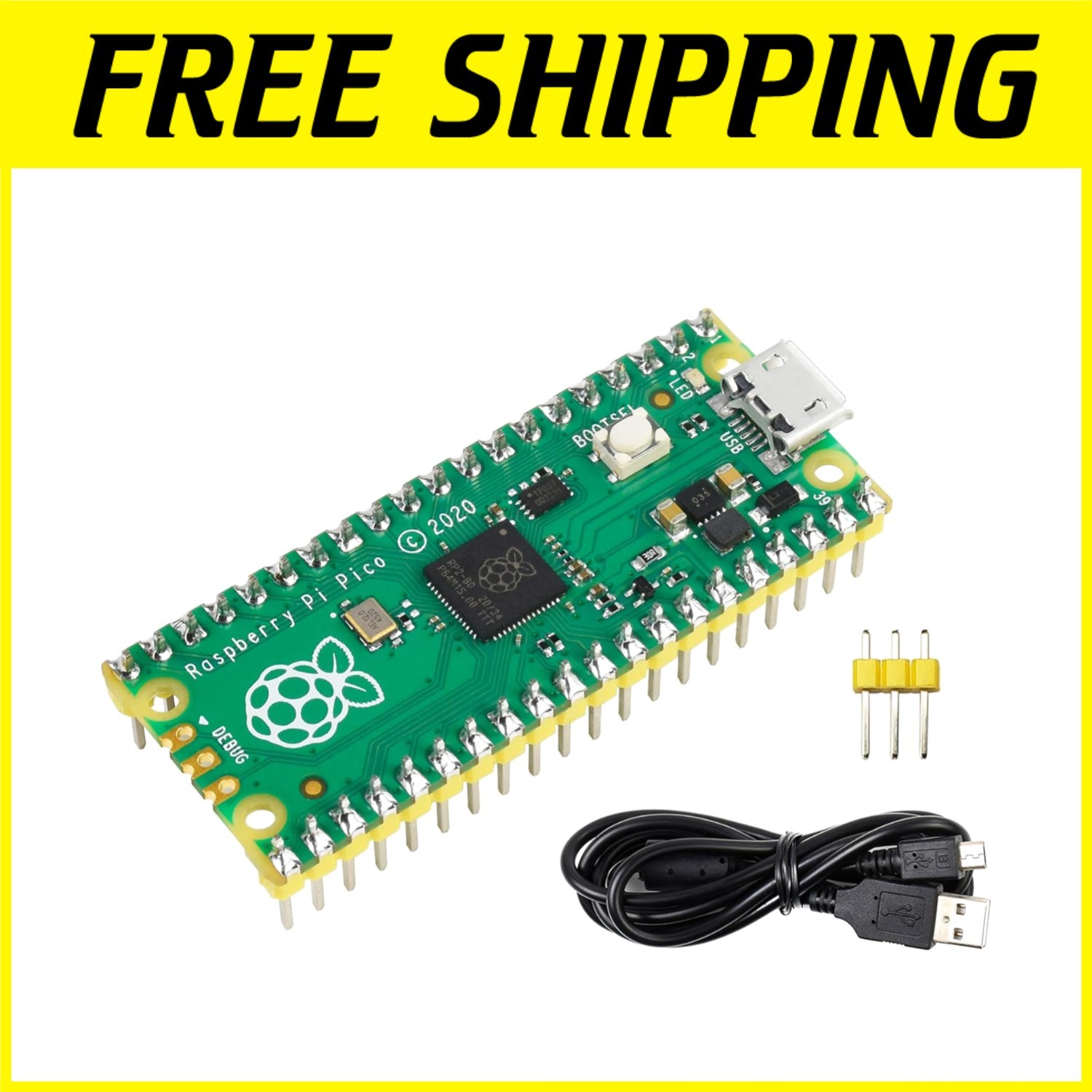 Dual-Core Raspberry Pi Pico with Flexible Digital Interfaces