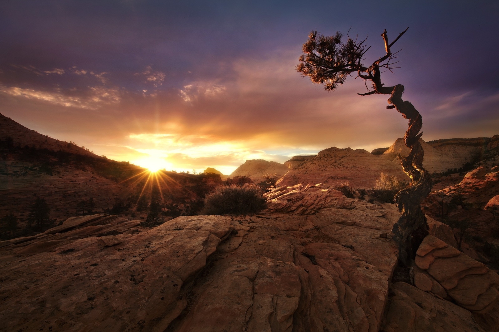 Landscape nature fall sunset desert trees zion national Custom Gaming Mat Desk