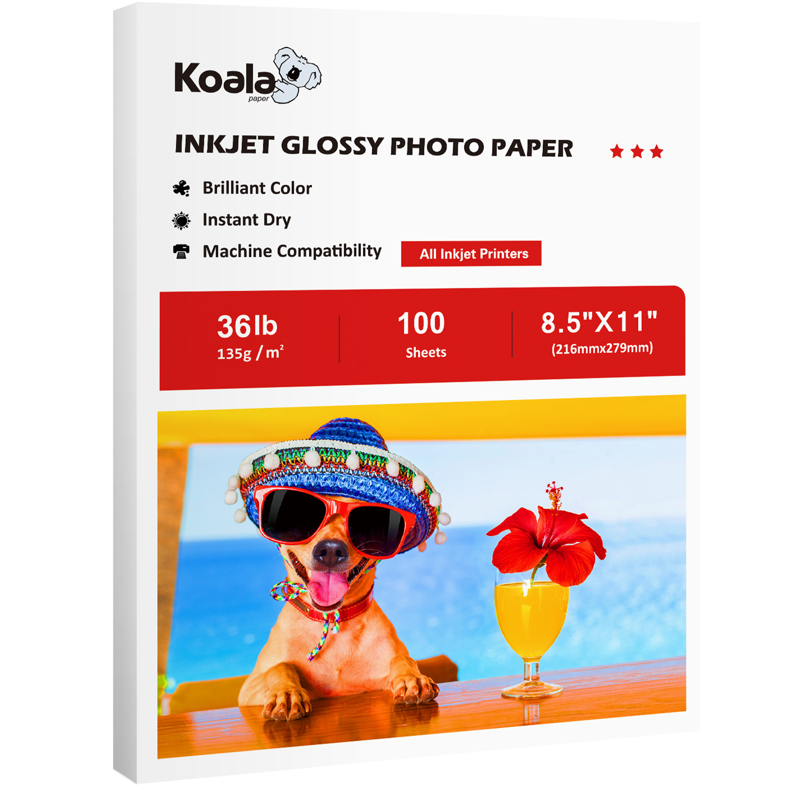 Koala Photo Paper 8.5x11 Glossy 100 Sheets 36lb 135g for Inkjet Printer Epson HP