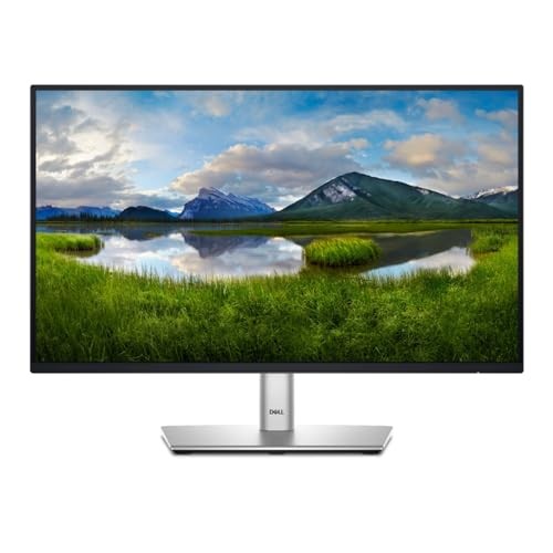 SILVER/BLACK - DELL 24" FULL HD LED MONITOR