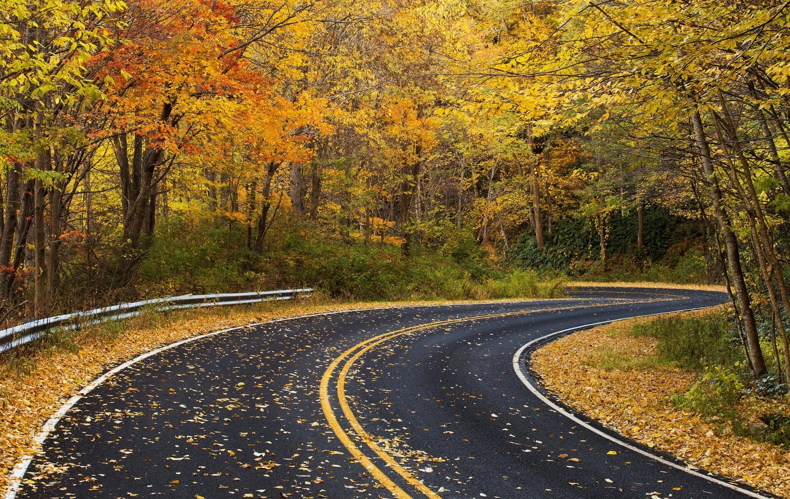 Landscape road fall forest fallen leaves yellow Custom Gaming Mat Desk