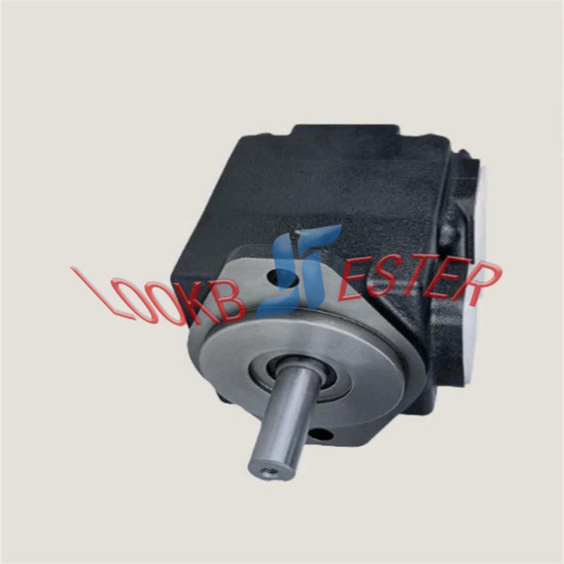 1PC DENISON Hydraulic Vane Pump T6C-017-1R03-B1 T6C 017 1R03 B1 NEW FedEx or DHL