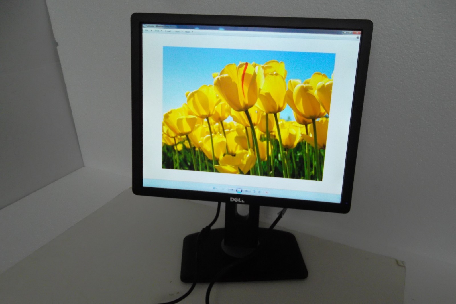Dell P1913 P1913sb P1913Sf LED Monitor 19" VGA DVI DP 2-Port USB Hub 39WWP NWXT6