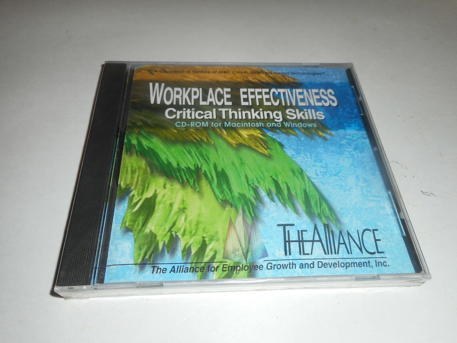 WORKPLACE EFFECTIVENESS CRITICAL THINKING SKILLS, CD-ROM FOR MACINTOSH AND WINDO