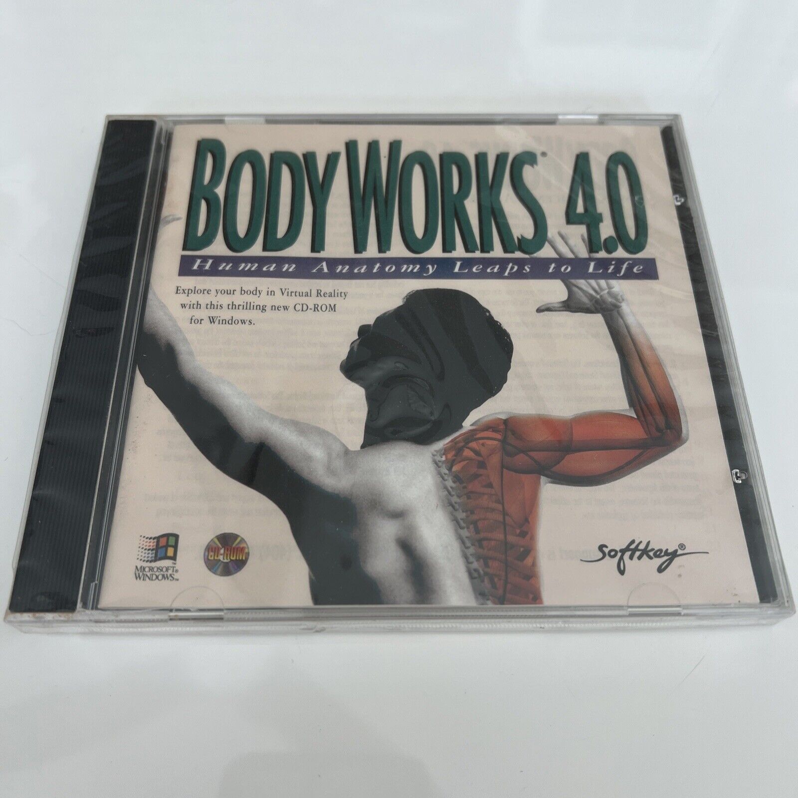 BodyWorks 4.0 Windows 1995 Microsoft/SoftKey Human Anatomy vintage Software