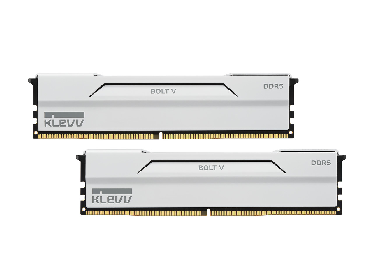 Klevv 64GB (2 x 32GB) DDR5 6000 (PC5 48000) Desktop Memory Model KD5BGUA80-60A30