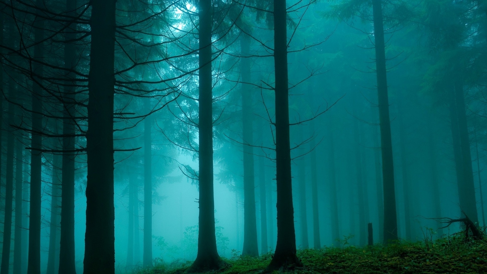 Landscape trees forest dark nature teal turquoise Custom Gaming Mat Desk
