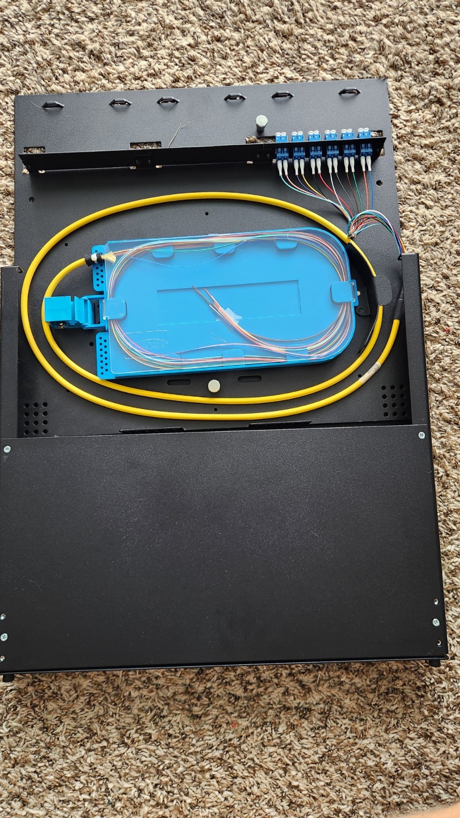 Multilink Wall Mount Pigtail 12 Fiber