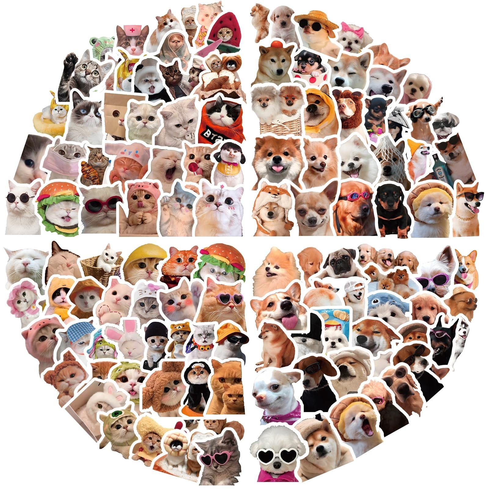 200 PCS Funny Cat and Dog Meme Stickers, Cute Stickers for Colorful 